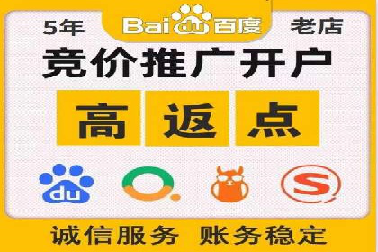 探索百度SEM竞价推广的奥秘：某行业巨头的成功经验